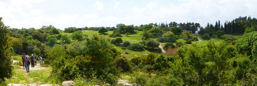 טיול מיטיבי לכת לגבעות תמרת 14.3