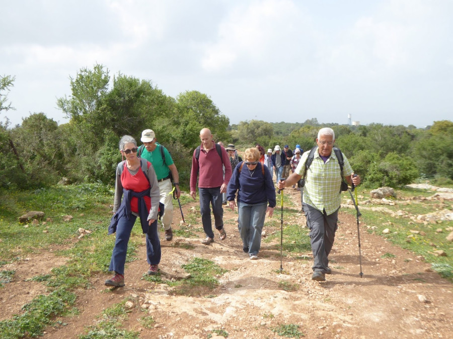 טיול מיטיבי לכת לגבעות תמרת 14.3