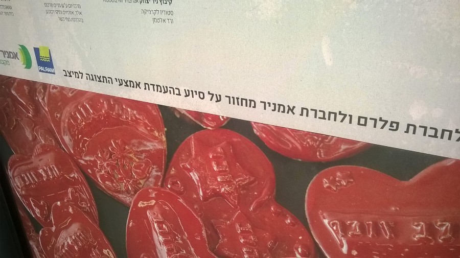 סיור במוזיאון רביןתערוכת הלב הזוכר-קרמיקה (22)