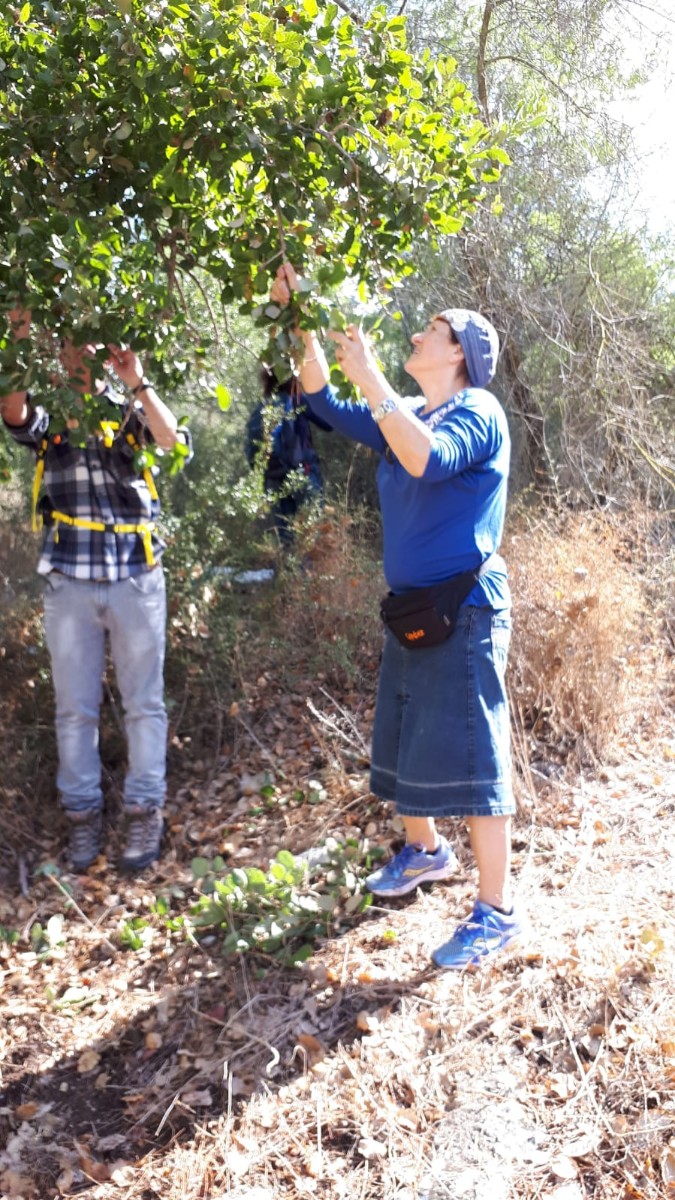 סיור ליקוט עם יעל יתיר 10.2018 (26)