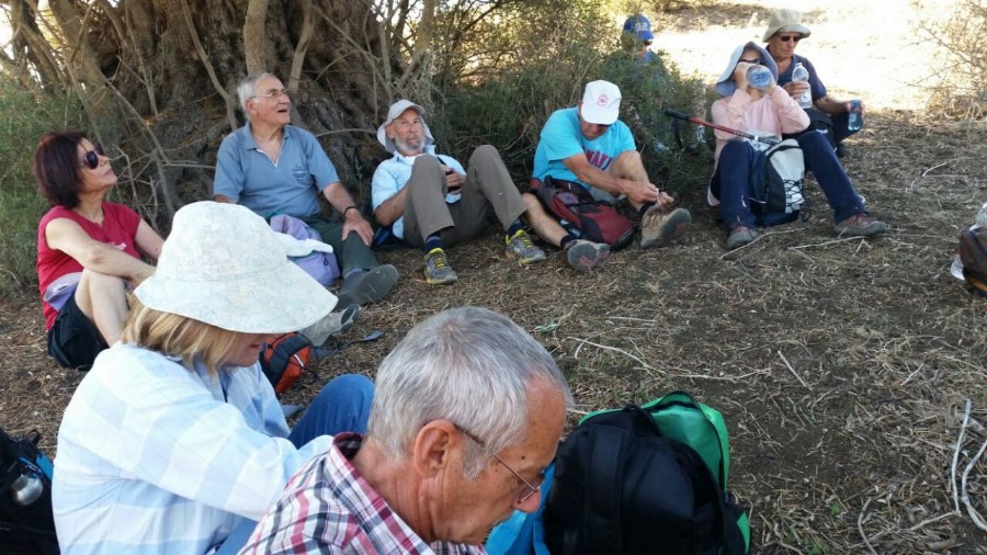 טיול מיטיבי לכת למערות ולכרם מהרל 2.11.18 (4)