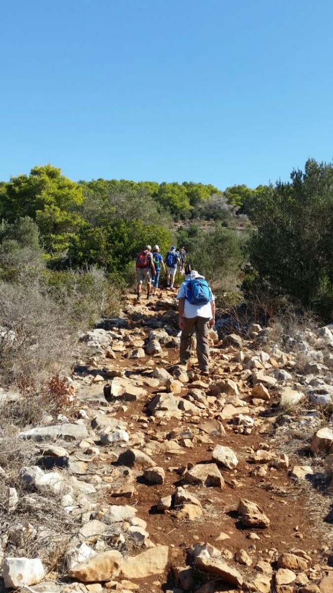 טיול מיטיבי לכת למערות ולכרם מהרל 2.11.18 (2)