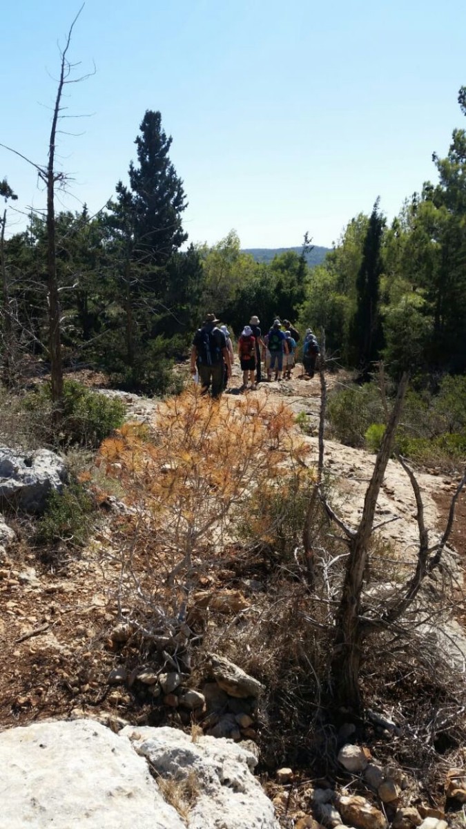 טיול מיטיבי לכת למערות ולכרם מהרל 2.11.18 (3)