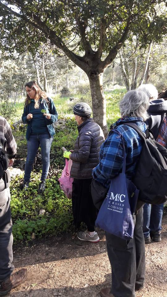 מפגש שני גורמה מהטבע סיור ליקוט ובישול (7)