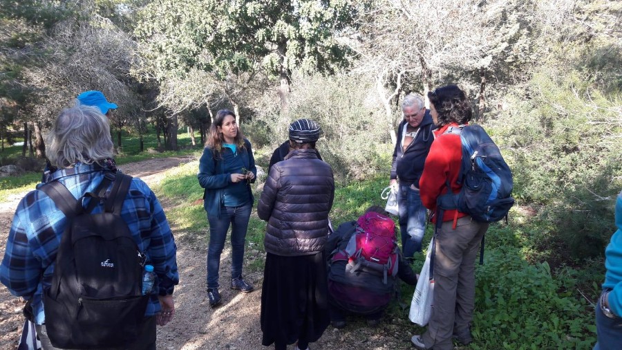 מפגש שני גורמה מהטבע סיור ליקוט ובישול (11)