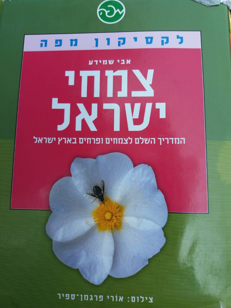 סדנת ליקוט שלישית בסדרת גורמה טבע (8)