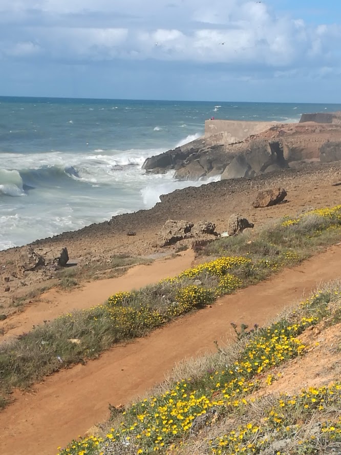 טיול למרוקו אפריל 2019 (37)